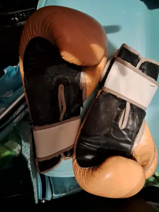 Guantoni Leone Pugilato Muay Thai