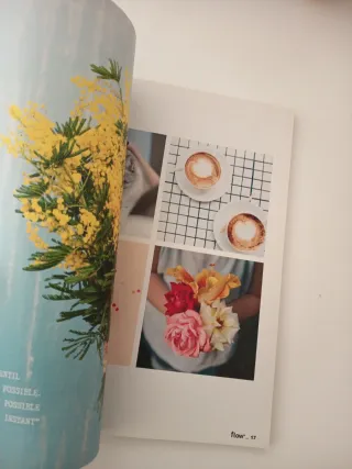 Revista Flow, núm. 20.