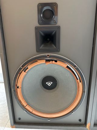 Altavoces Cerwin-Vega D-15EE LEER