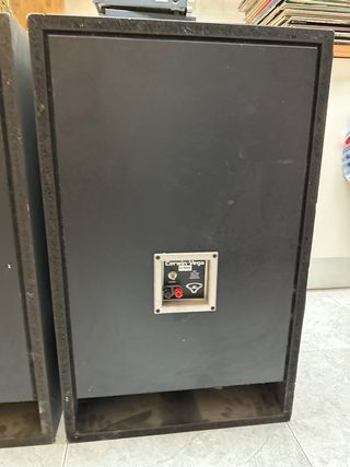 Altavoces Cerwin-Vega D-15EE LEER