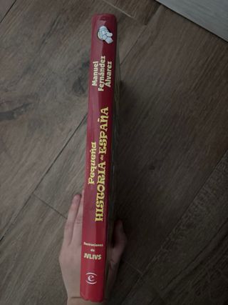 Pequeña historia de España