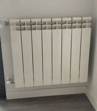 Radiador de agua 8 elementos blanco