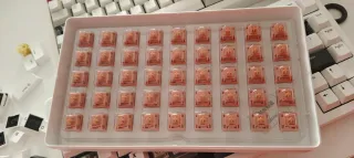 Akko Rosewood Switches Mecánicos