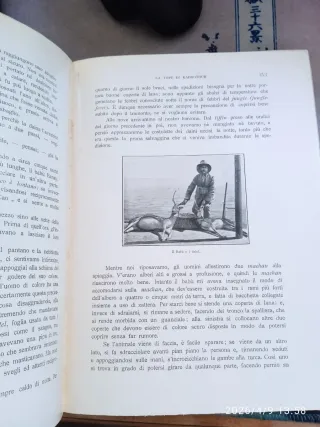 Sette anni di caccia grossa - Felice Scheibler