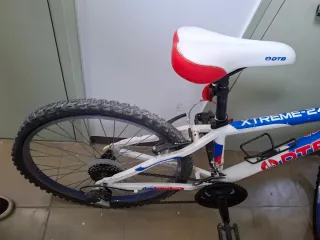 Bicicleta de Montaña Xtreme 240