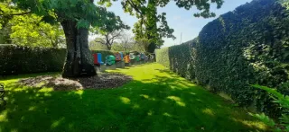 Servicio de jardinería y poda