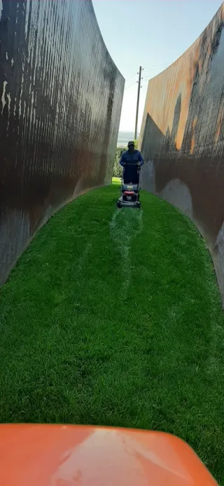 Servicio de jardinería y poda