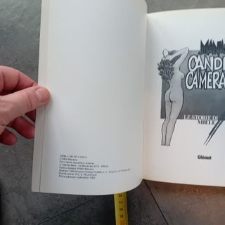 Milo Manara, candid camera, le storie di Miele