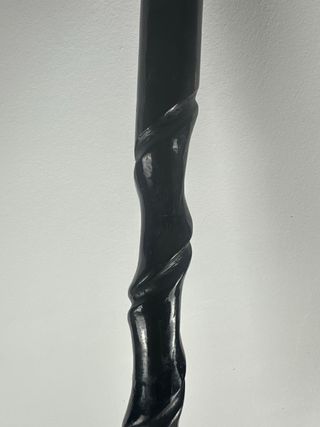 Bastón Colección Cabeza Águila