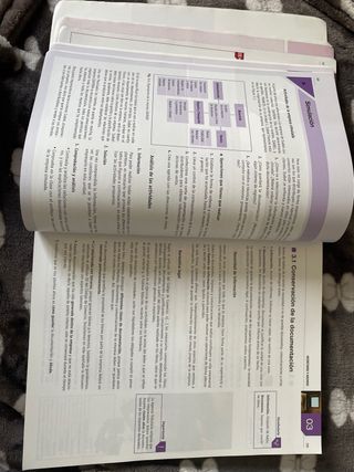 FUNDAMENTOS DE ADMINISTRACION Y GESTION. 2 BACH...