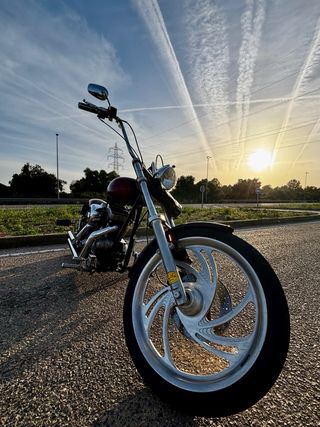 Harley Davidson Sportster 1200