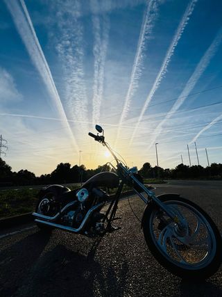 Harley Davidson Sportster 1200