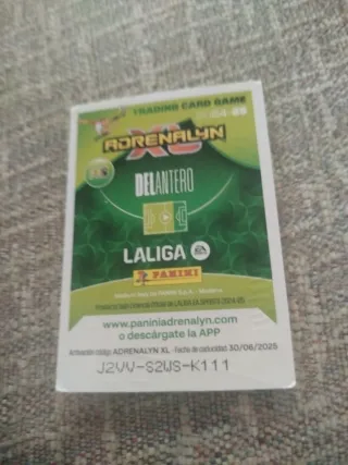 Cromo Balón de Oro Vinicius Jr. Panini