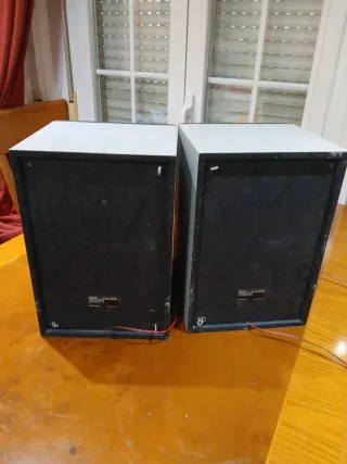 Pareja Altavoces Sony Negros y grises