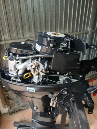 Motor fueraborda Mercury