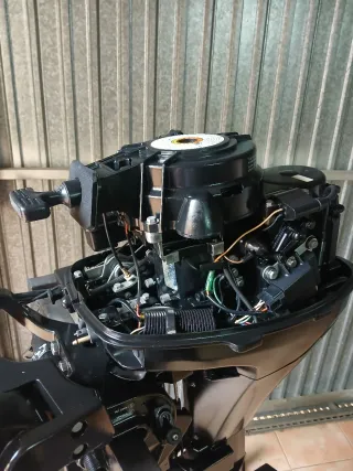 Motor fueraborda Mercury