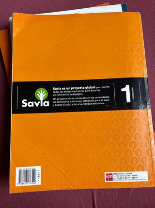 Economía. 1 Bachillerato. Savia (Spanish Edition)