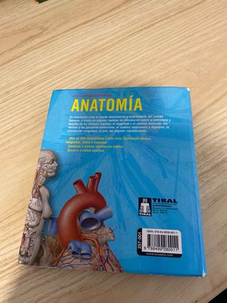 Anatomía