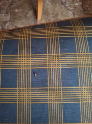 8 Sillas de comedor de madera, juntas o separadas