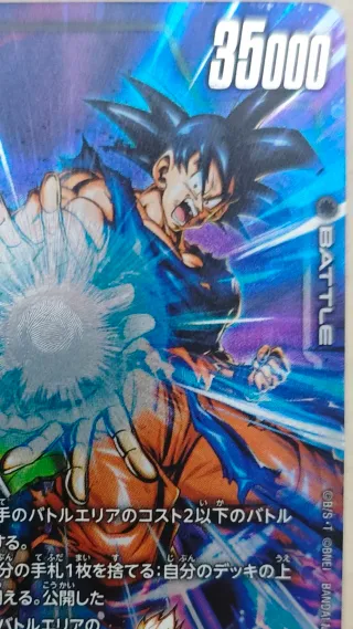 Son Goku/Bardock FS09-08