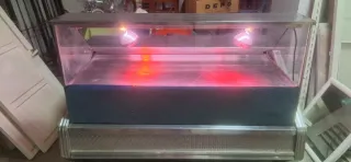 Vitrina Caliente Acero Inoxidable