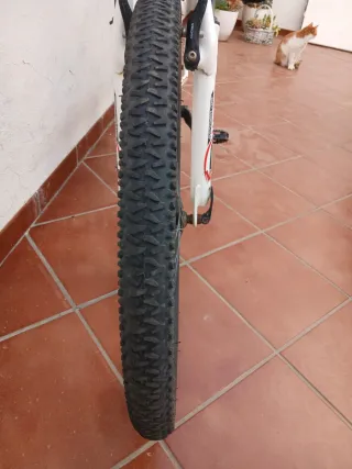 Bicicleta infantil 24
