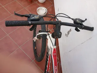 Bicicleta infantil 24