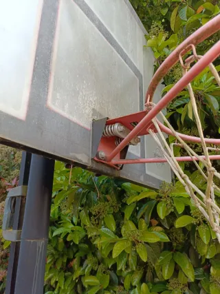 Canasta de baloncesto con base