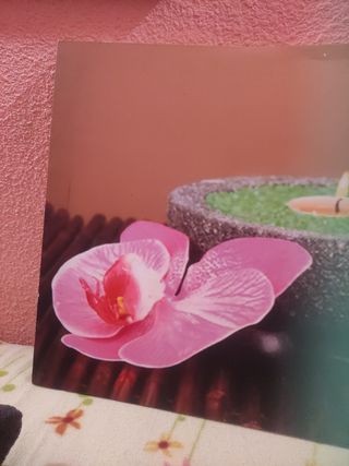 Cuadro sin marco vela y flor