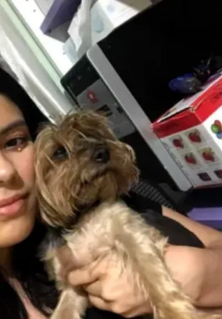 Paseadora para perros y cuidadora de gatos