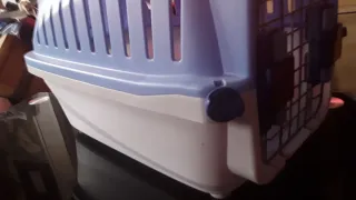 Transportín para mascotas azul y blanco