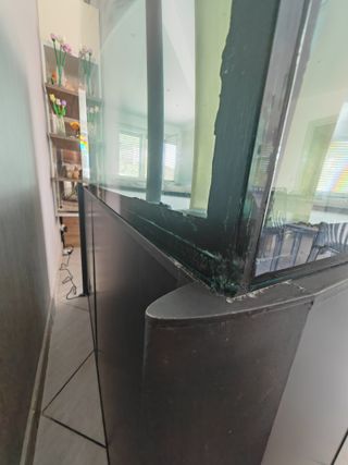 Acquario Marino Aquamar 340