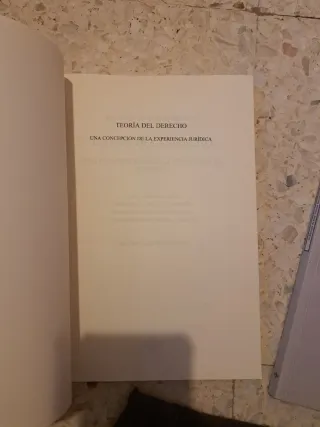 Teoría del Derecho: Una concepción de la experi...