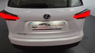 Lexus NX 2017