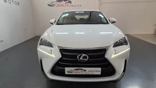 Lexus NX 2017