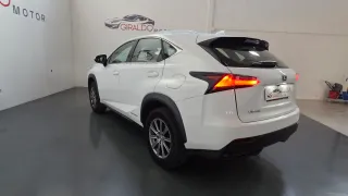 Lexus NX 2017