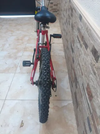 Bicicleta niño 20 pulgadas