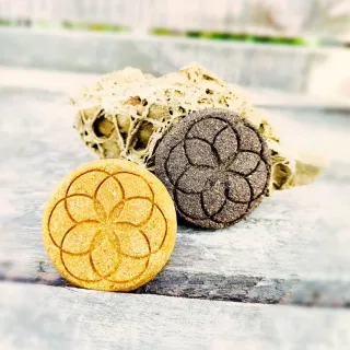 Semilla de la vida meditativa