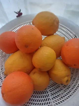 Necesito gente para trabajar en el campo