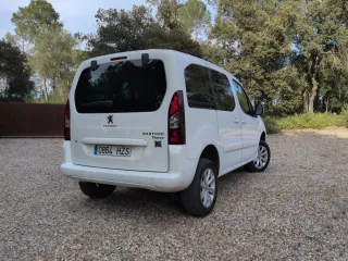 Peugeot Partner Dangel 4x4 1.6HDi 2014