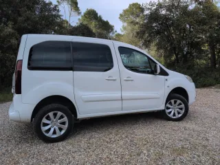 Peugeot Partner Dangel 4x4 1.6HDi 2014