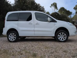 Peugeot Partner Dangel 4x4 1.6HDi 2014