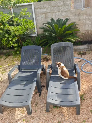Hamacas de jardín de plástico (2 unidades)