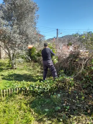 Jardinero