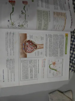 Libro texto bioloxía y xeoloxía 3