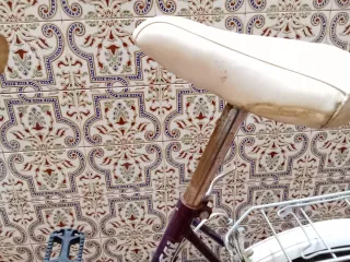 Bicicleta Plegable STOW-AWAY