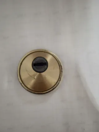 Escudo Tesa para puerta
