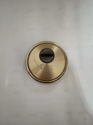 Escudo Tesa para puerta