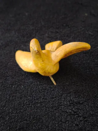 Pareja Pájaros Olot Escayola Artesanal 5.5cm