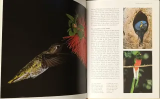 The Book of American Nature